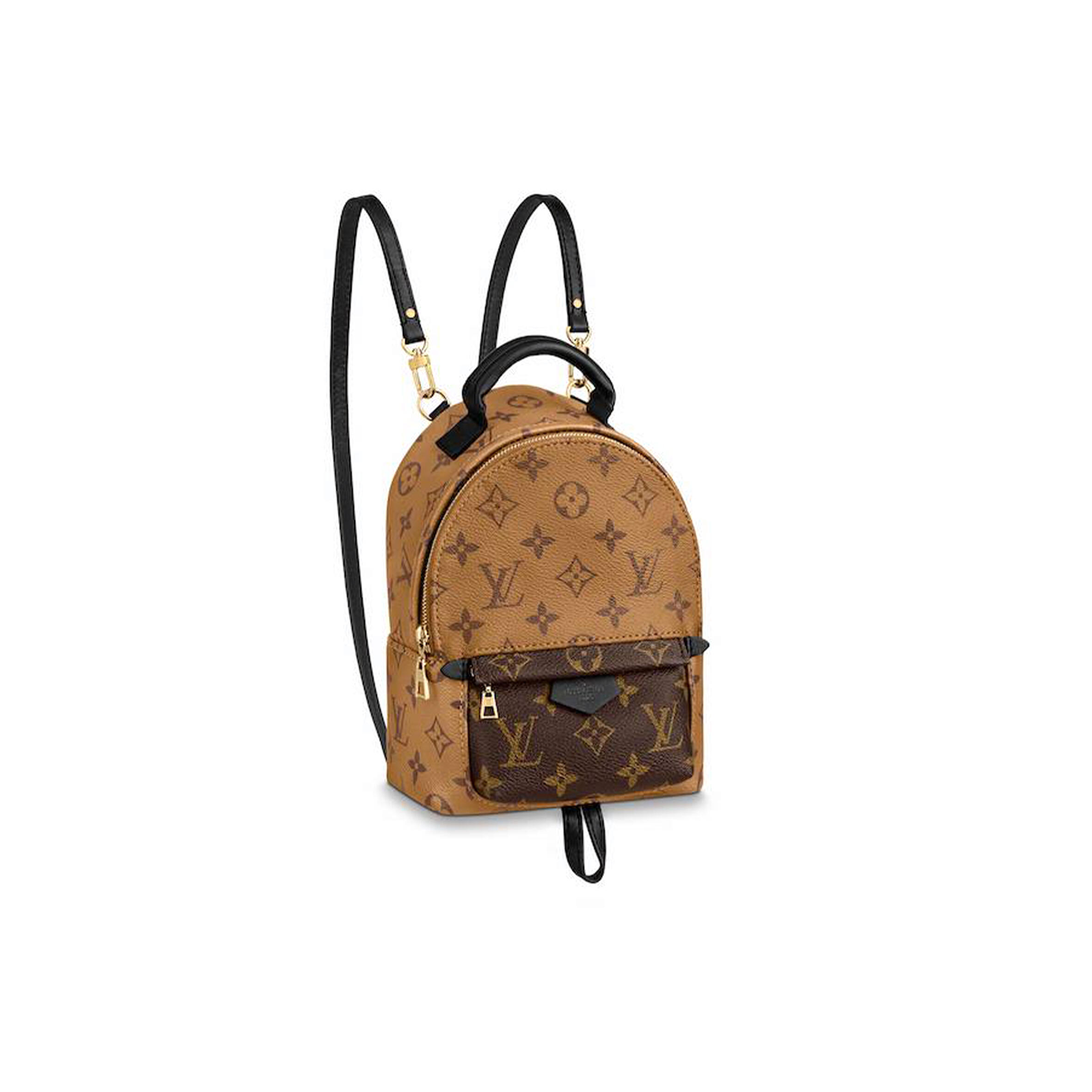 LOUIS VUITTON MASTER PALM SPRINGS MINI BACKPACK M44872 (17*22*10cm)